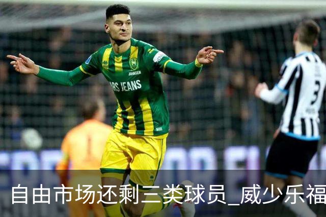 自由市场还剩三类球员 威少乐福领衔失业大军？